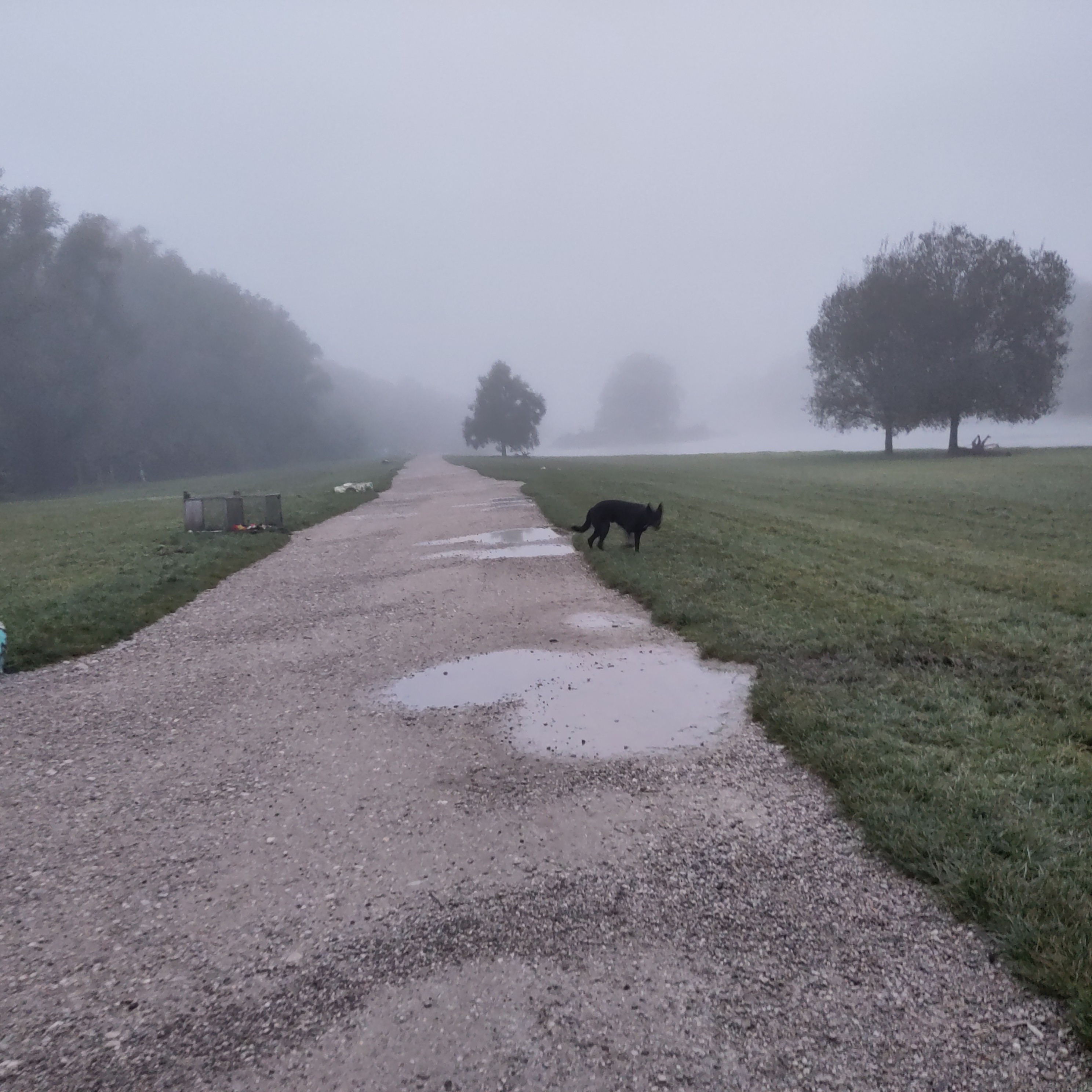 Sonntagmorgens im Nebel an der Isar